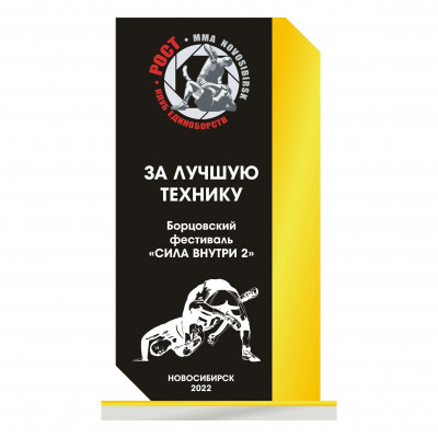 Награда из акрила BG12 единоборства