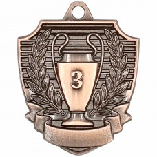 Медаль 01-55 B 3 место (D-55см, S-2 мм)
