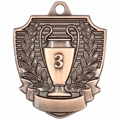 Медаль 01-55 B 3 место (D-55см, S-2 мм)