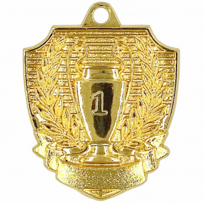 Медаль 01-55 G 1 место (D-55см, S-2 мм)