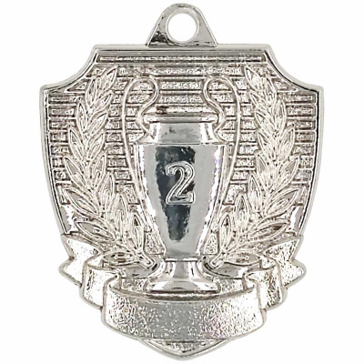 Медаль 01-55 S 2 место (D-55см, S-2 мм)