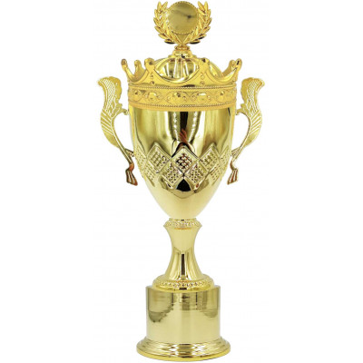 Кубок 2017K C (H-45,5см, D-120 мм)