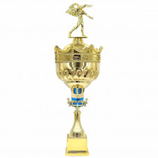 Кубок 2508KBL C борьба (H-45,5см, D-160 мм)