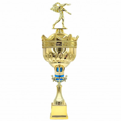 Кубок 2508KBL C борьба (H-45,5см, D-160 мм)