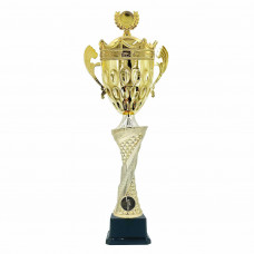 Кубок 2520K A (H-53см, D-120 мм)