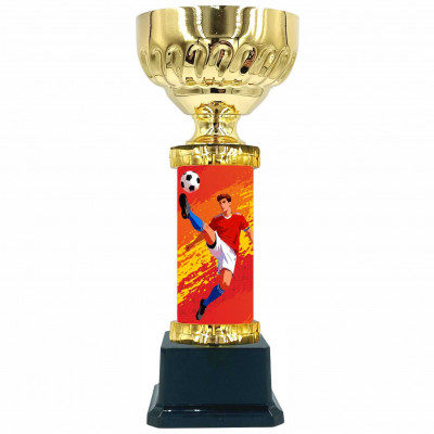 Кубок 2604 F футбол (H-23,5см, D-80 мм)
