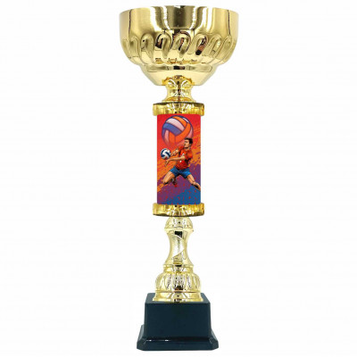 Кубок 2607 D волейбол (H-35см, D-100 мм)