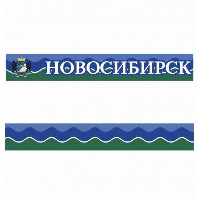 Лента Новосибирск ID 25 мм.
