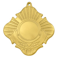 Медаль MZ 66-70/G (70х70мм, D-25мм, s-2мм) Медаль MZ 66-70/G (70х70мм, D-25мм, s-2мм)