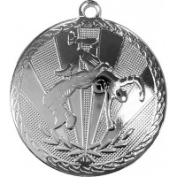Медаль AT503WR S (D-50мм. S-2мм.)
